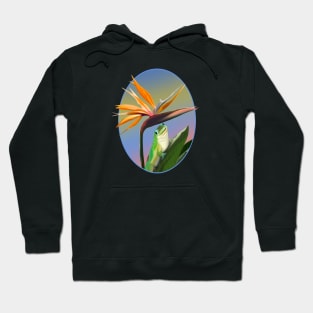 Bird of paradise day gecko Hoodie